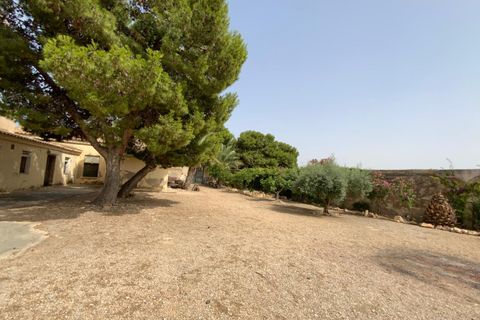 Finca i Torre Pacheco, Murcia, Torre Pacheco - € 298.000 | Ref: V498TM - foto 3